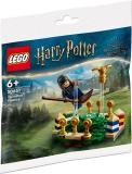 LEGO 30651